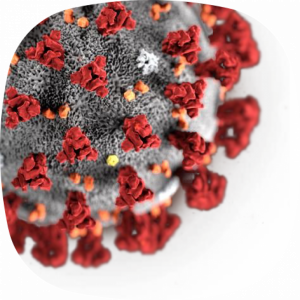 Foto budovy DM Lovosická